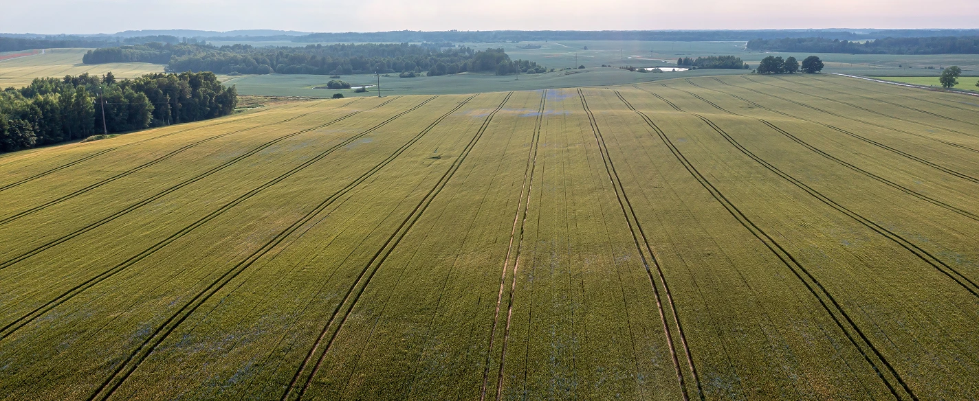 Section image